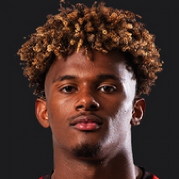 Yann Gboho ROUGE Mémoire